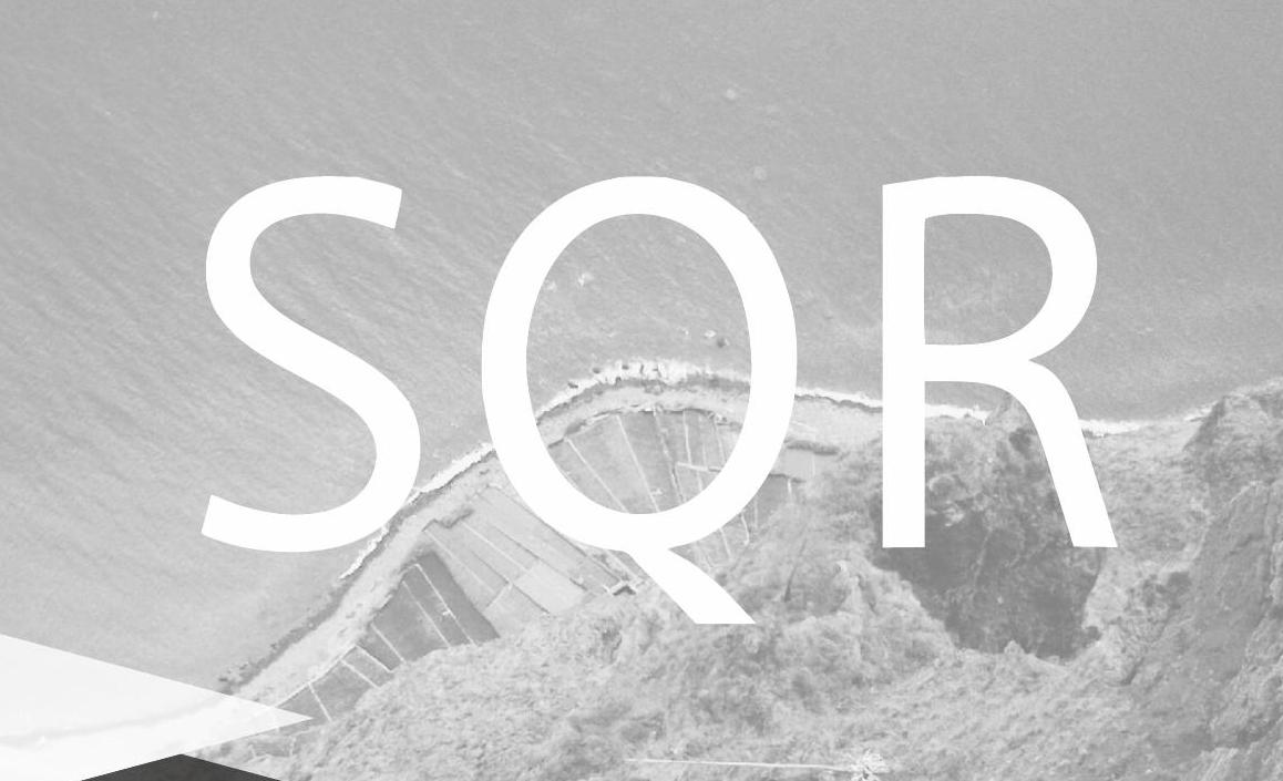 Запасной парашют companion SQR