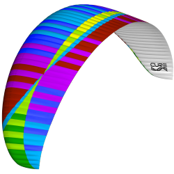 BGD Cure: EN‑C wing to beat the flying bug