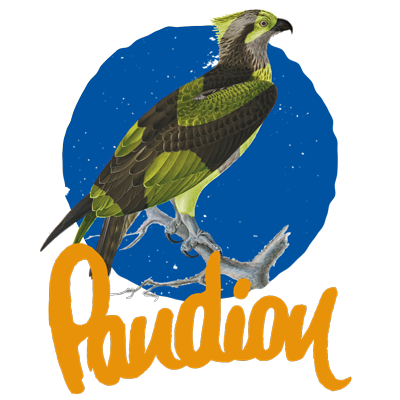 Pandion: trustworthy EN-B glider for climbers