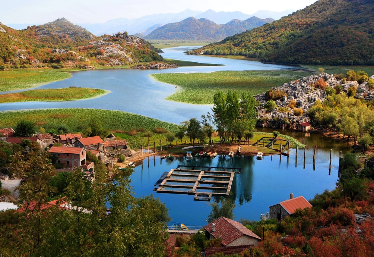 Skadar Lake Wine and Gastronomy Tour: Tradition, Taste, and Timeless Hospitality
