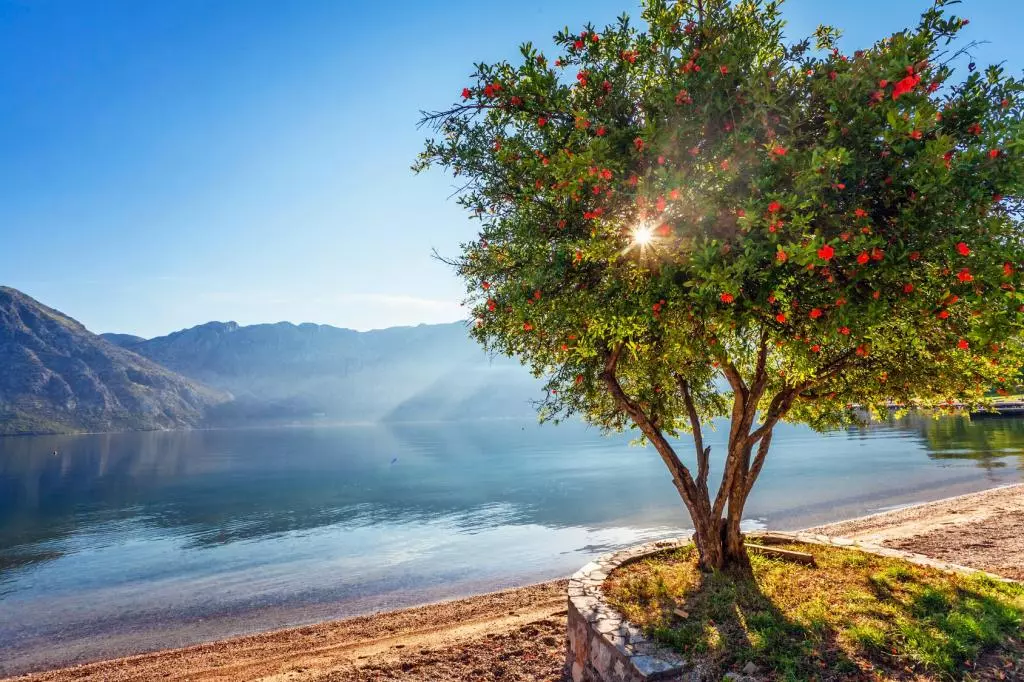 chernogoriya-na-majskie image May holidays for the whole family in Montenegro